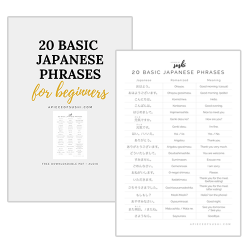 20BasicJpanesePhrases